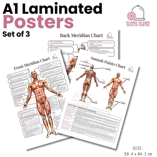 A1 Laminted Posters - Set of 3
