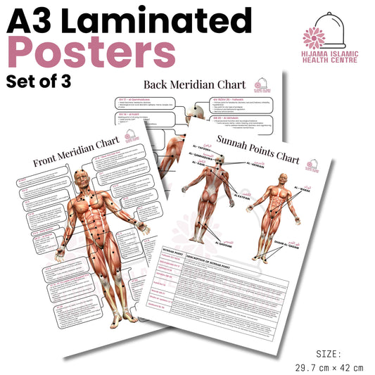 A3 Laminted Posters - Set of 3
